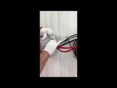 Ethernet kayma halkası ECN000-21P-06S-01EG